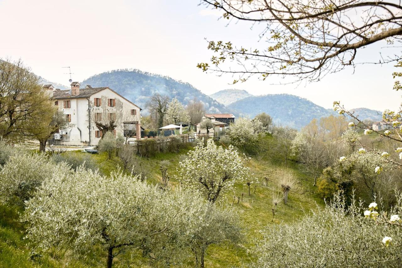 Asolo Norah'S Hill Agri Rooms Monfumo Bagian luar foto
