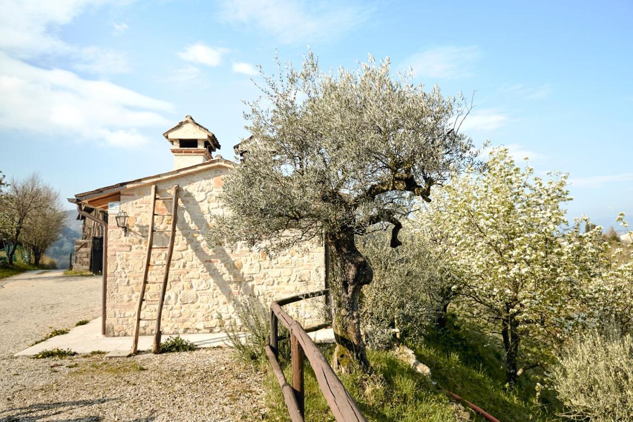 Asolo Norah'S Hill Agri Rooms Monfumo Bagian luar foto