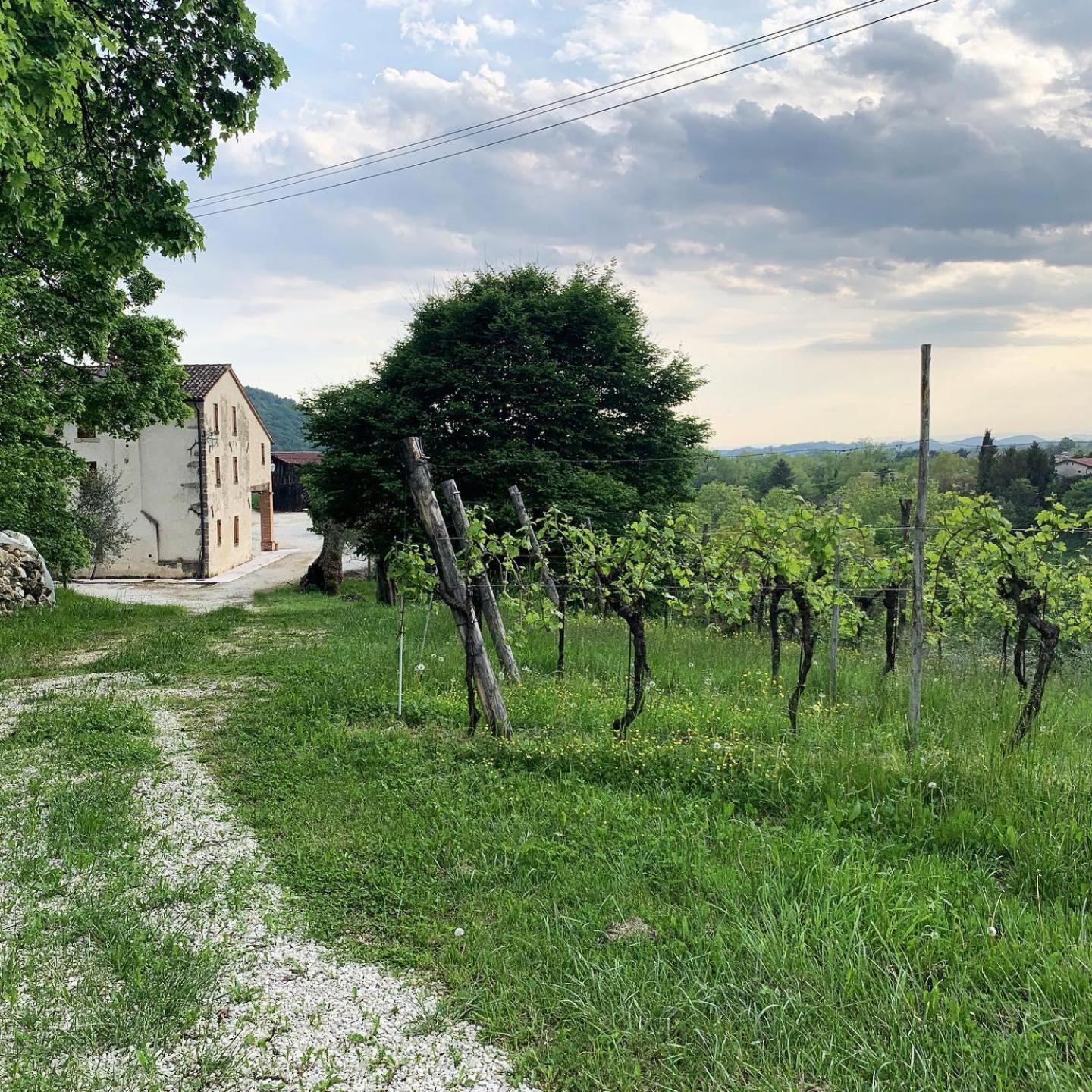 Asolo Norah'S Hill Agri Rooms Monfumo Bagian luar foto