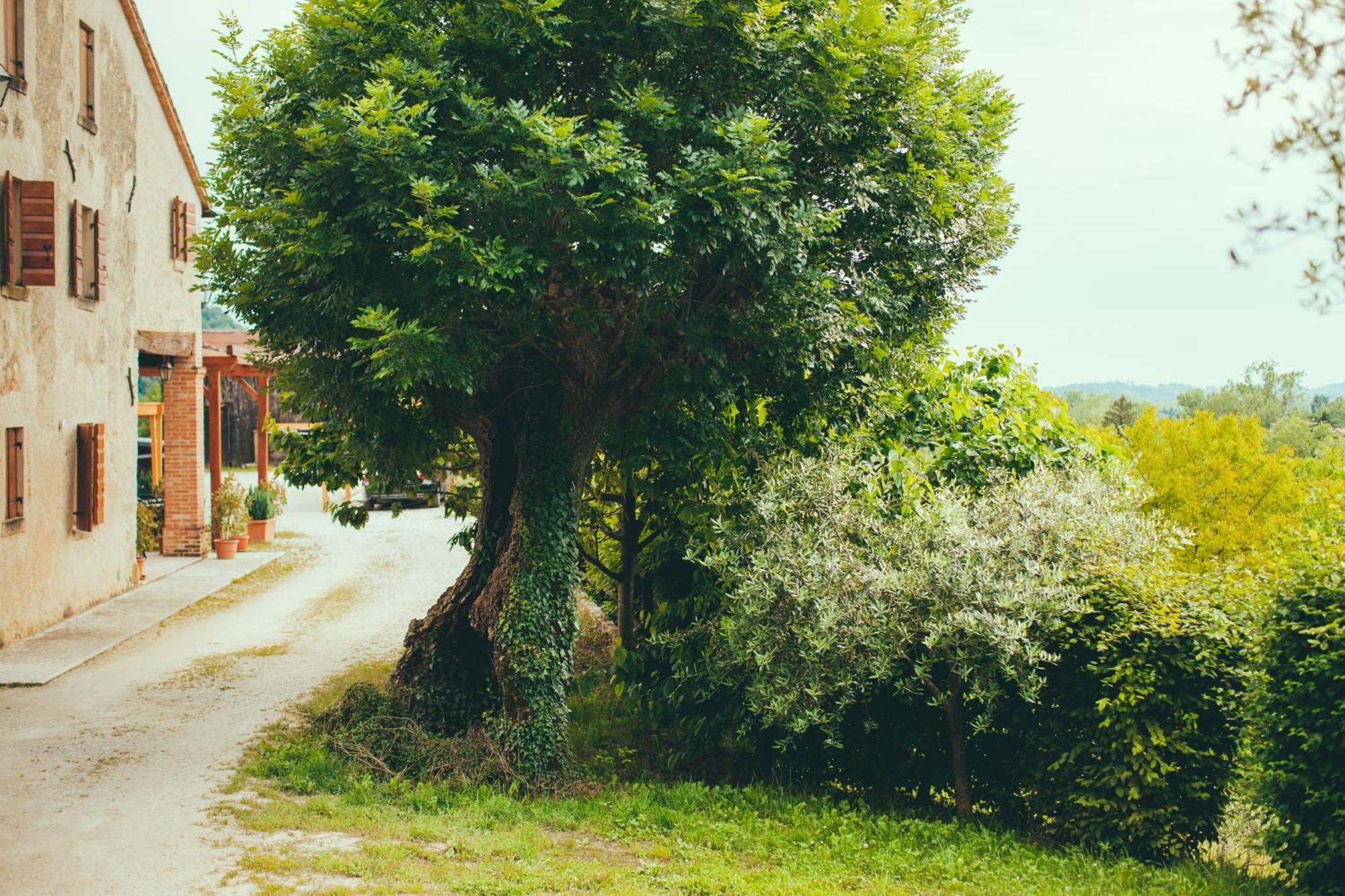 Asolo Norah'S Hill Agri Rooms Monfumo Bagian luar foto