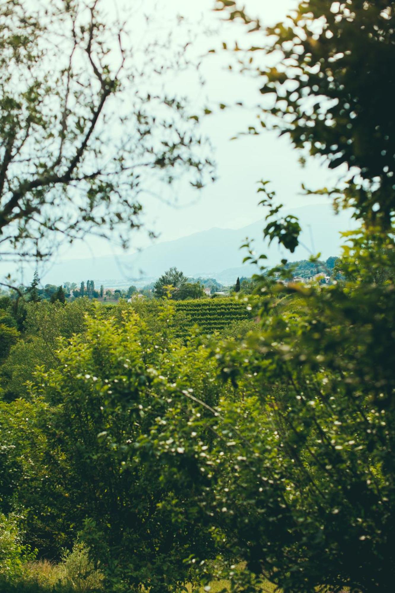 Asolo Norah'S Hill Agri Rooms Monfumo Bagian luar foto