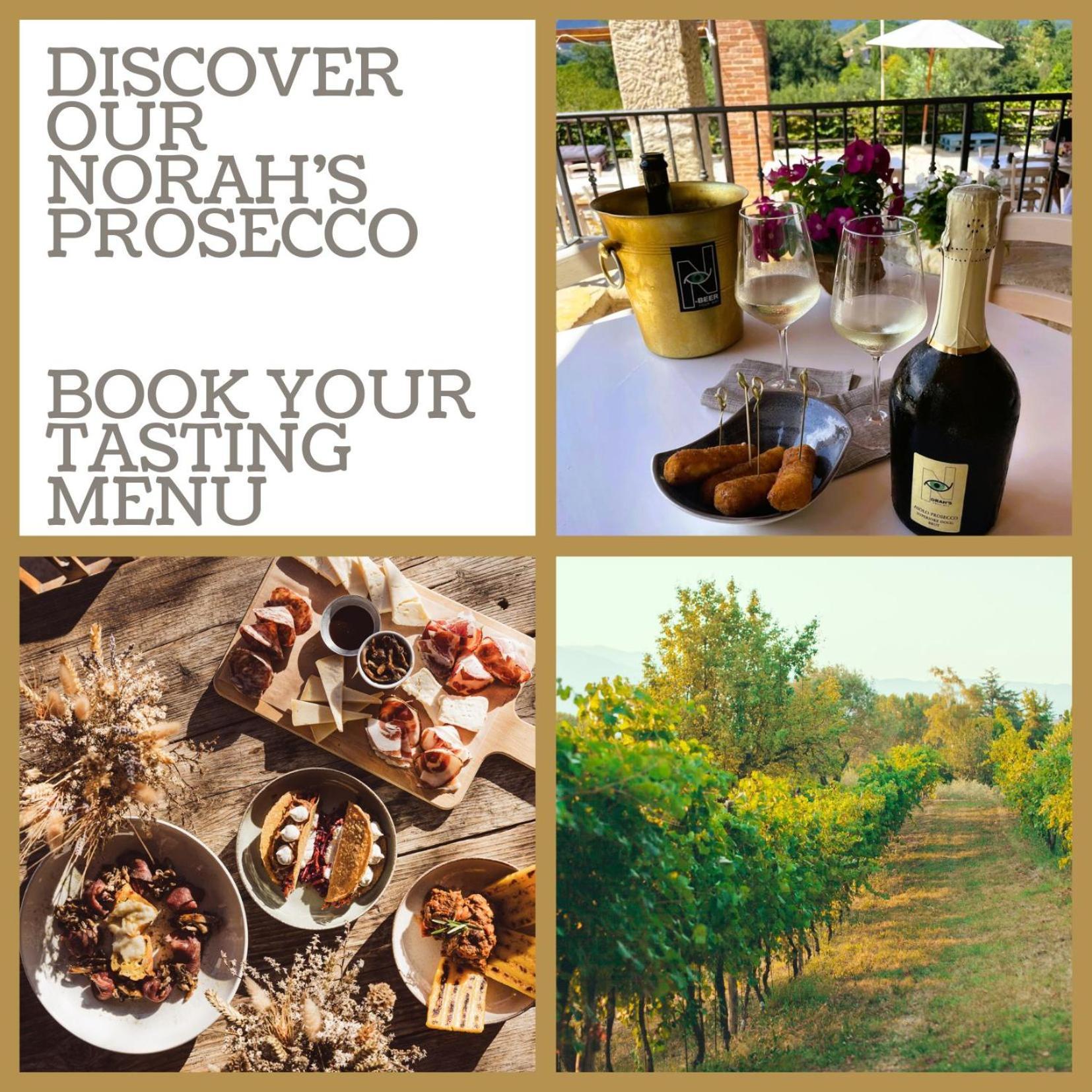 Asolo Norah'S Hill Agri Rooms Monfumo Bagian luar foto